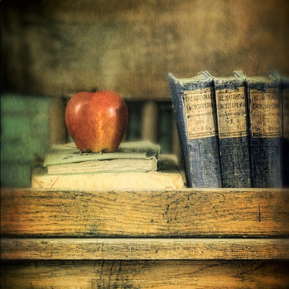 Meet your Posher, Liz